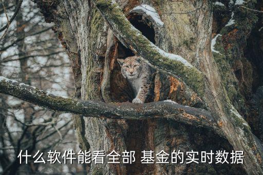 什么軟件能看全部 基金的實(shí)時數(shù)據(jù)
