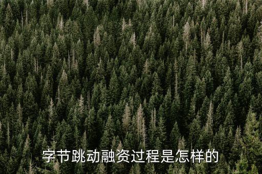 字節(jié)跳動(dòng)融資過(guò)程是怎樣的