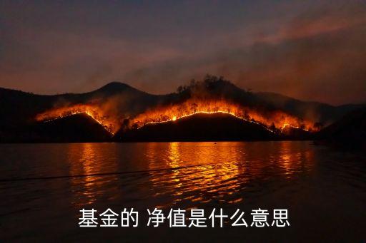 163114基金凈值,申萬(wàn)環(huán)?；?63114