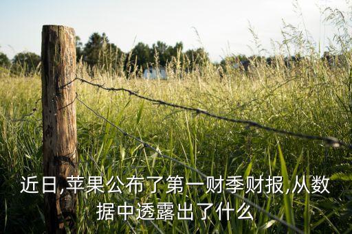 蘋果公司13年財務報表,蘋果2022年財務報表分析