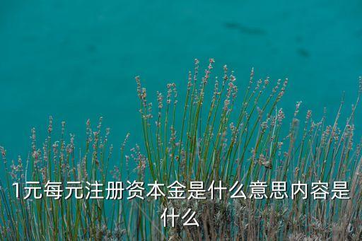 公司出資1元,公司注冊出資時(shí)間怎么填寫