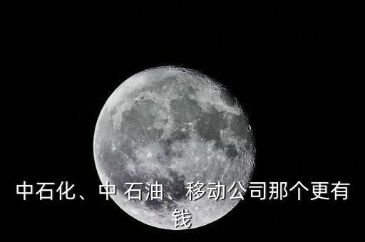 中石化、中 石油、移動公司那個更有錢