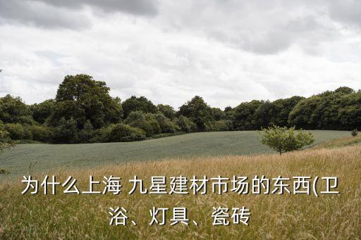 為什么上海 九星建材市場的東西(衛(wèi)浴、燈具、瓷磚