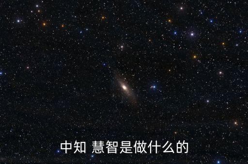 慧智投資1號(hào)結(jié)構(gòu)信托計(jì)劃