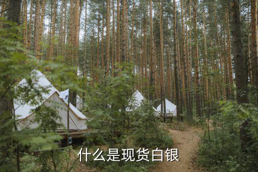 什么是現貨白銀