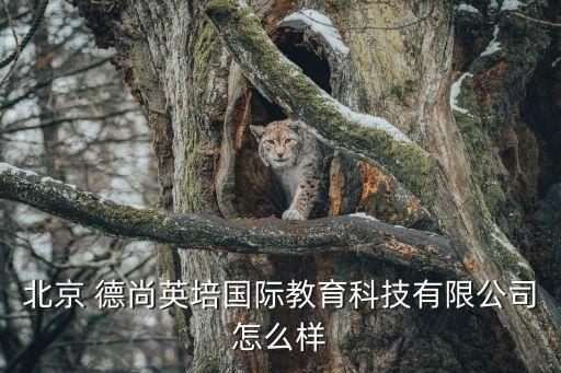 德尚創(chuàng)投投資,達(dá)晨創(chuàng)投投資了哪些公司