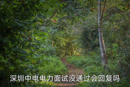 深圳中電電力面試沒通過會回復(fù)嗎