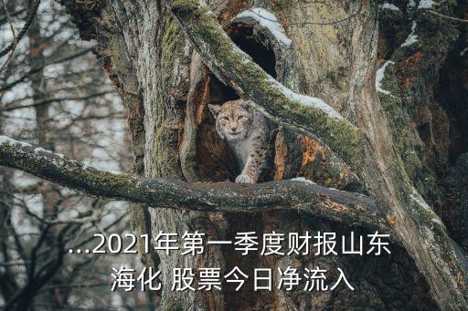 st海化股票,?；善睔v史交易數(shù)據(jù)