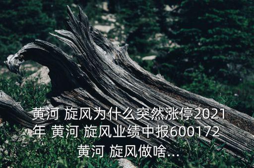黃河旋風(fēng)機電公司老總