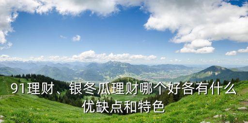 91理財(cái)、銀冬瓜理財(cái)哪個(gè)好各有什么優(yōu)缺點(diǎn)和特色