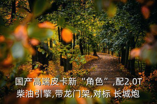 國產(chǎn)高端皮卡新“角色”,配2.0T柴油引擎,帶龍門架,對(duì)標(biāo) 長(zhǎng)城炮