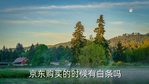  京東購(gòu)買的時(shí)候有白條嗎