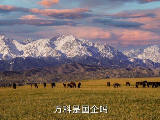  萬科是國(guó)企嗎