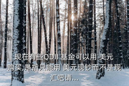 現(xiàn)在有些QDII 基金可以用 美元購(gòu)買(mǎi),是指只能用 美元現(xiàn)鈔而不是現(xiàn)匯吧請(qǐng)...