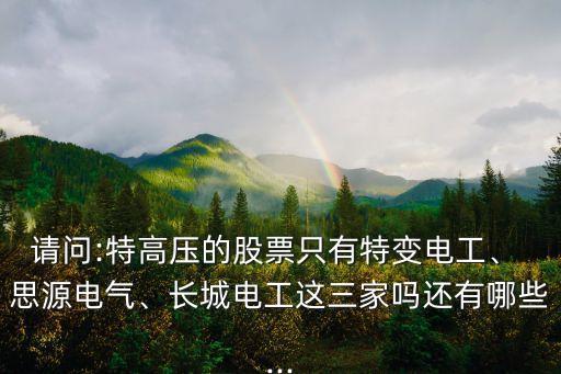 請問:特高壓的股票只有特變電工、 思源電氣、長城電工這三家嗎還有哪些...