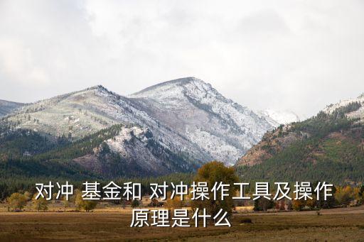  對(duì)沖 基金和 對(duì)沖操作工具及操作原理是什么