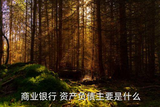 商業(yè)銀行 資產(chǎn)負債主要是什么