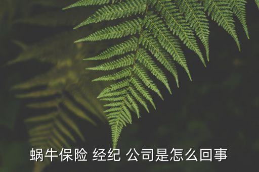 蝸牛保險 經(jīng)紀(jì) 公司是怎么回事