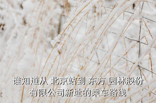 誰(shuí)知道從 北京站到 東方 園林股份有限公司新址的乘車路線