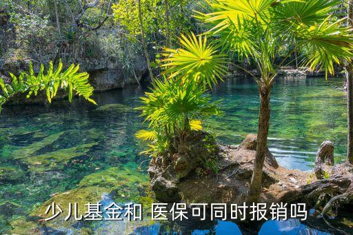 上海銀行醫(yī)保卡
