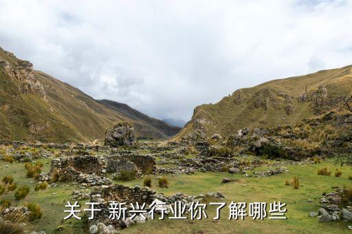關于 新興行業(yè)你了解哪些