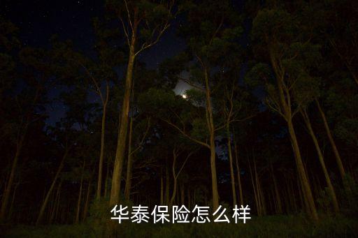 華泰財(cái)險(xiǎn)寧夏分公司