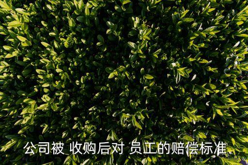  公司被 收購后對 員工的賠償標(biāo)準(zhǔn)