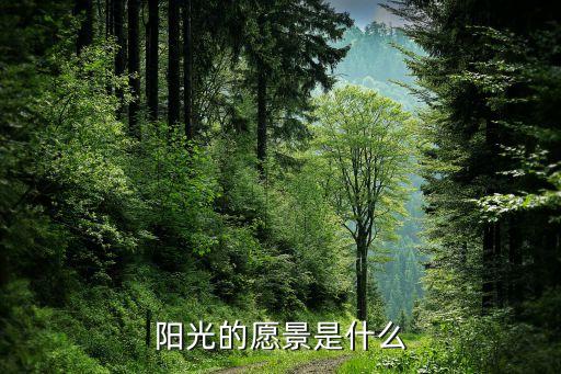 江蘇陽光集團(tuán)董事長(zhǎng),陳麗芬江蘇陽光集團(tuán)董事長(zhǎng)