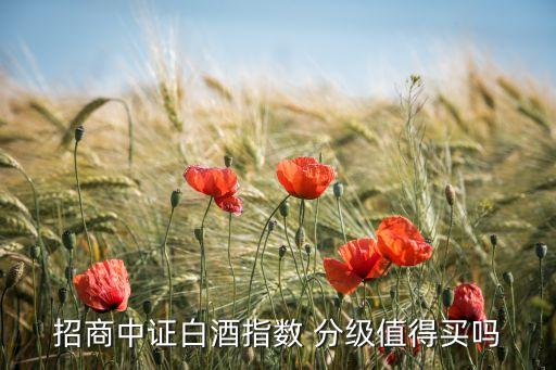 招商中證白酒指數(shù) 分級(jí)值得買嗎