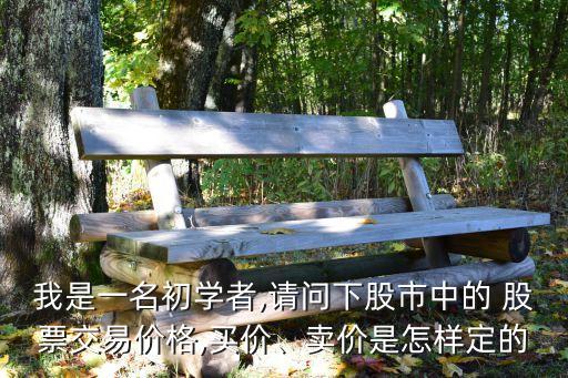 我是一名初學(xué)者,請問下股市中的 股票交易價格,買價、賣價是怎樣定的
