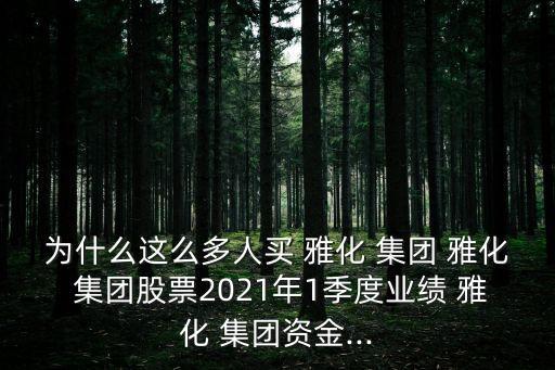為什么這么多人買 雅化 集團(tuán) 雅化 集團(tuán)股票2021年1季度業(yè)績(jī) 雅化 集團(tuán)資金...