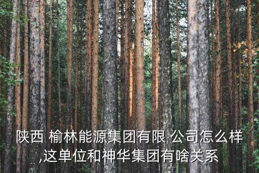 陜西 榆林能源集團有限 公司怎么樣,這單位和神華集團有啥關系