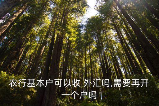 農行基本戶可以收 外匯嗎,需要再開一個戶嗎