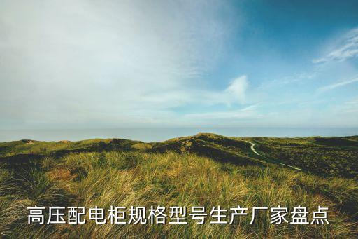 高壓配電柜規(guī)格型號(hào)生產(chǎn)廠家盤點(diǎn)