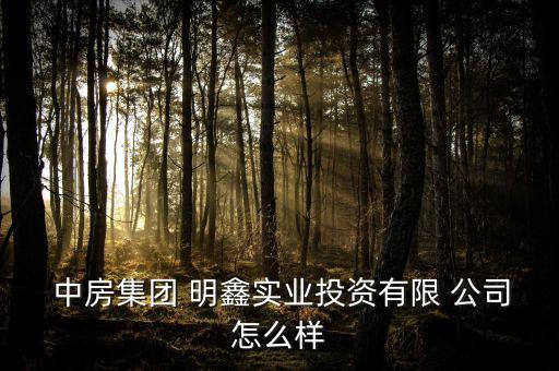  中房集團(tuán) 明鑫實業(yè)投資有限 公司怎么樣