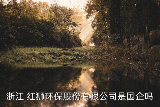 浙江 紅獅環(huán)保股份有限公司是國(guó)企嗎