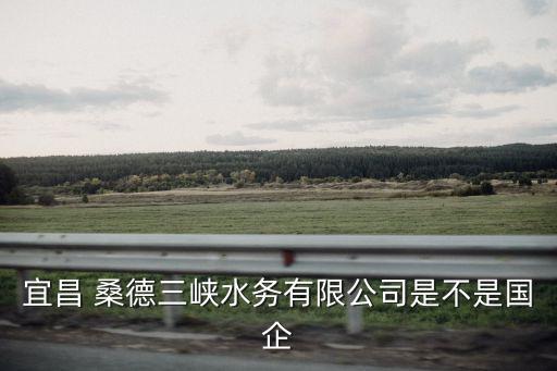桑德集團駐外,北京桑德集團現(xiàn)狀