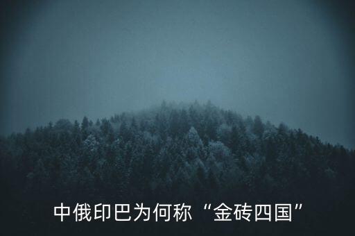 中俄印巴為何稱(chēng)“金磚四國(guó)”