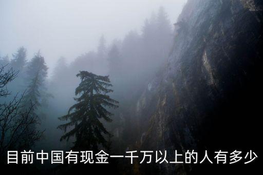 目前中國(guó)有現(xiàn)金一千萬(wàn)以上的人有多少