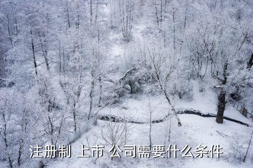 注冊(cè)制 上市 公司需要什么條件