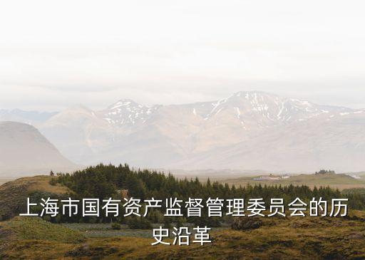 上海國企國資改革,山西省國企國資改革財政支持政策