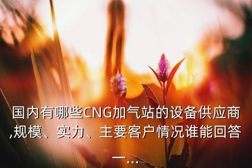國內(nèi)有哪些CNG加氣站的設(shè)備供應(yīng)商,規(guī)模、實(shí)力、主要客戶情況誰能回答一...