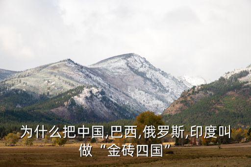 為什么把中國(guó),巴西,俄羅斯,印度叫做“金磚四國(guó)”