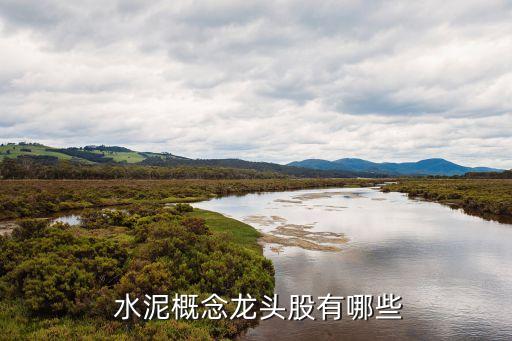 水泥類(lèi)股票一覽,醫(yī)療器械類(lèi)股票一覽