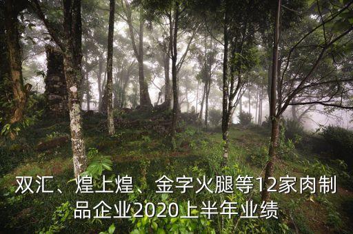 雙匯、煌上煌、金字火腿等12家肉制品企業(yè)2020上半年業(yè)績(jī)