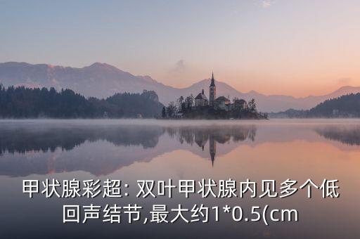 甲狀腺彩超: 雙葉甲狀腺內(nèi)見(jiàn)多個(gè)低回聲結(jié)節(jié),最大約1*0.5(cm