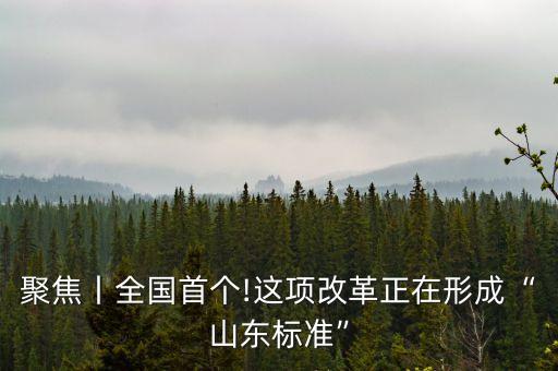 聚焦丨全國首個(gè)!這項(xiàng)改革正在形成“山東標(biāo)準(zhǔn)”