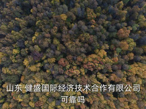 山東 健盛國際經(jīng)濟(jì)技術(shù)合作有限公司可靠嗎