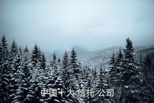 中國十大 信托 公司