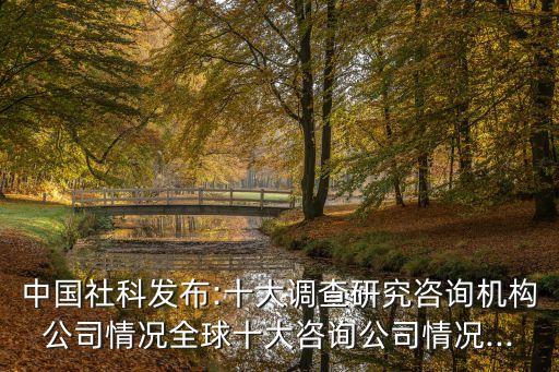 小尼爾森和中國,尼爾森中國幾個(gè)分公司